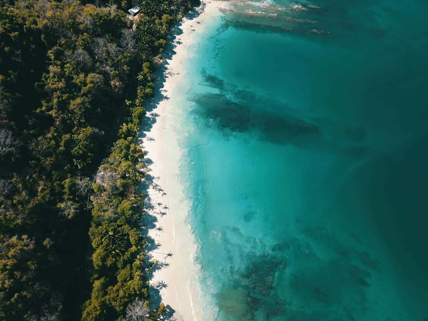 El Caribe